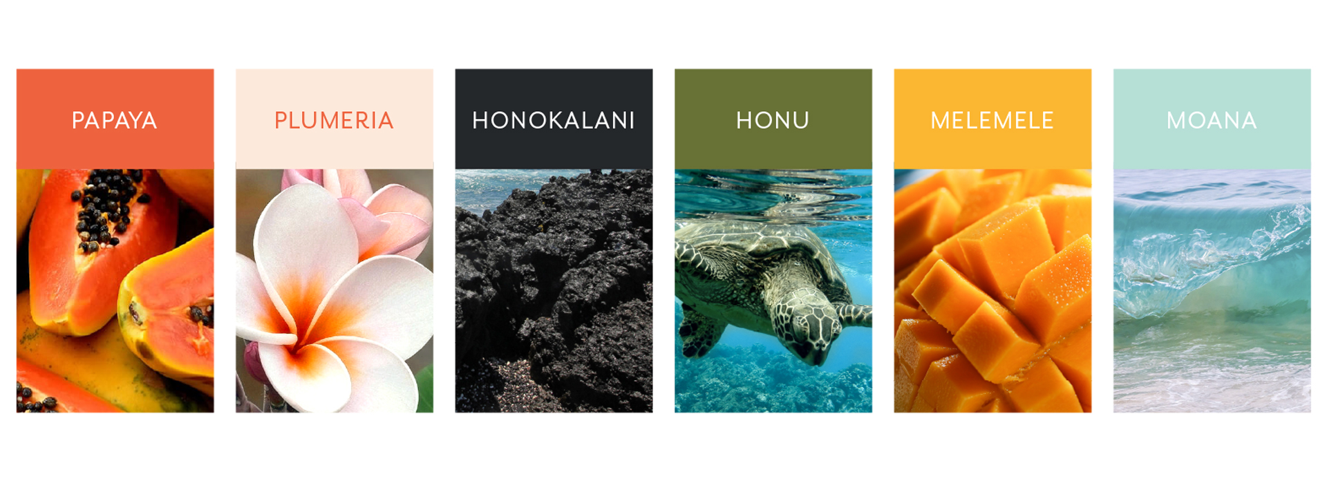 Color palette reflects the natural beauty and vibrant color found in Maui.